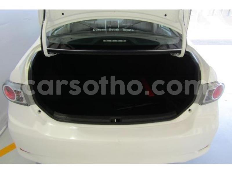 Big with watermark crop800x600.jpeg 74