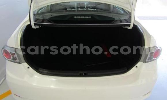 Buy Used Toyota Corolla White Car in Maputsoe in Leribe Buy Used Toyota Corolla White Car in Maputsoe in Leribe