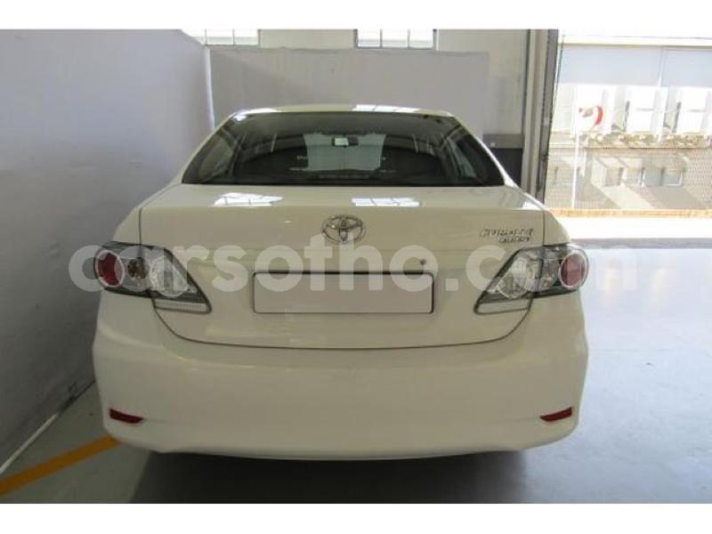 Big with watermark crop800x600.jpeg 73