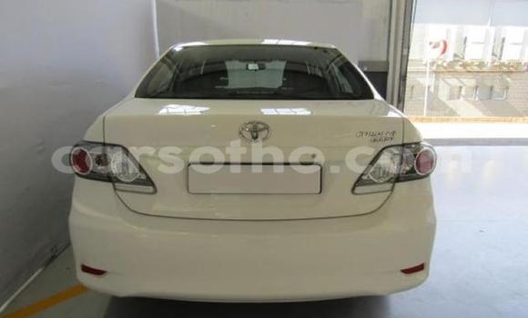 Buy Used Toyota Corolla White Car in Maputsoe in Leribe Buy Used Toyota Corolla White Car in Maputsoe in Leribe