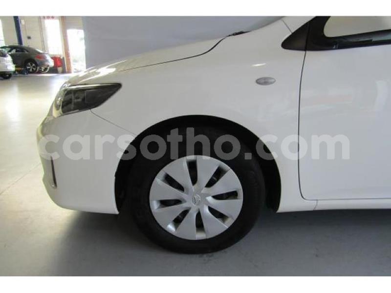 Big with watermark crop800x600.jpeg 71