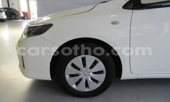 Buy Used Toyota Corolla White Car in Maputsoe in Leribe Buy Used Toyota Corolla White Car in Maputsoe in Leribe