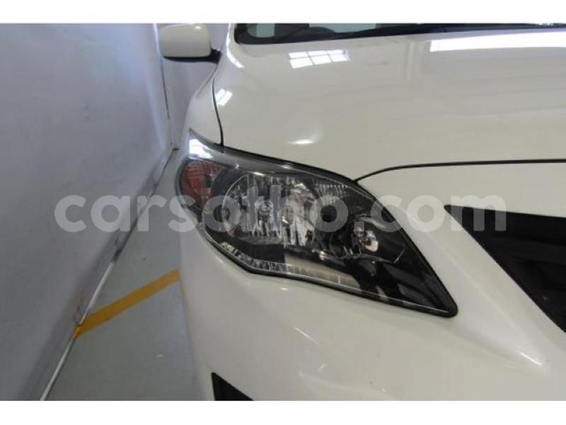 Big with watermark crop800x600.jpeg 70