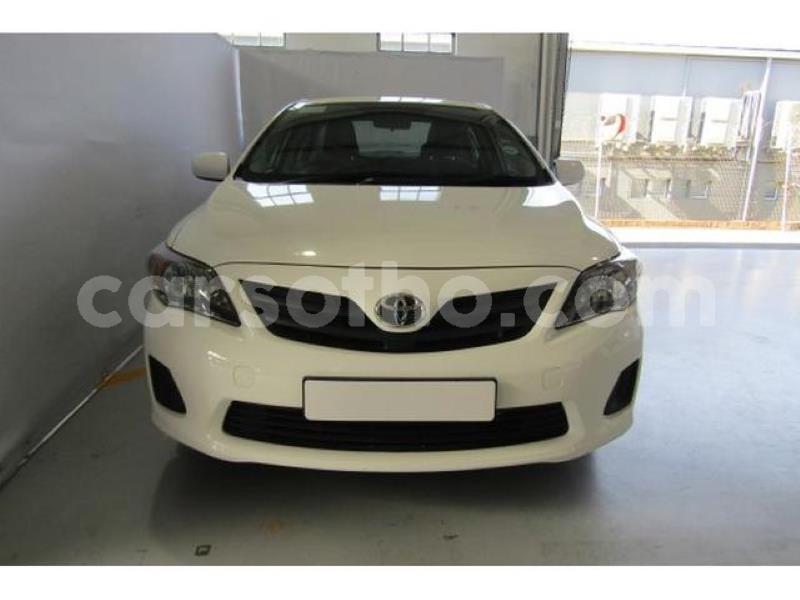 Big with watermark crop800x600.jpeg 69