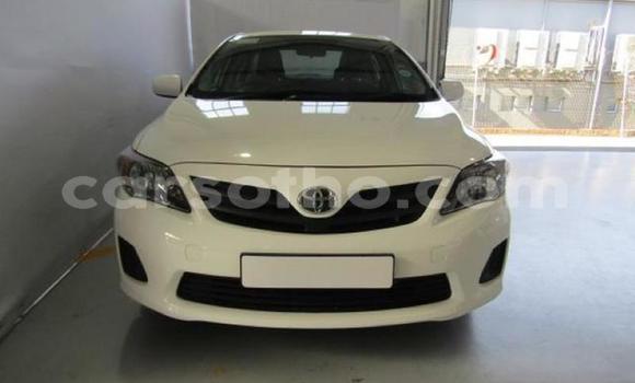 Buy Used Toyota Corolla White Car in Maputsoe in Leribe Buy Used Toyota Corolla White Car in Maputsoe in Leribe