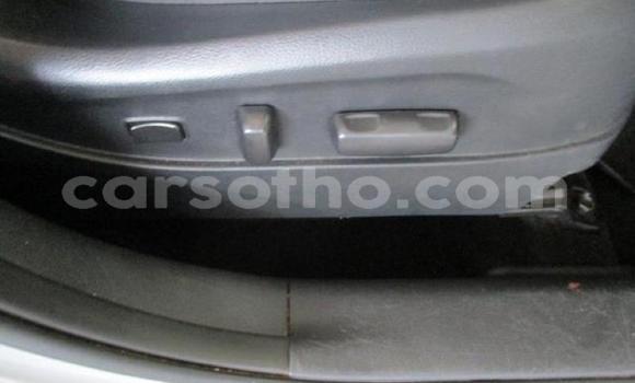 اشتري مستعمل Kia Sportage Silver سيارة في Hlotse في Leribe اشتري مستعمل Kia Sportage Silver سيارة في Hlotse في Leribe