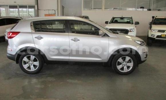 اشتري مستعمل Kia Sportage Silver سيارة في Hlotse في Leribe اشتري مستعمل Kia Sportage Silver سيارة في Hlotse في Leribe