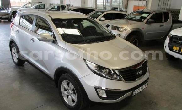 اشتري مستعمل Kia Sportage Silver سيارة في Hlotse في Leribe اشتري مستعمل Kia Sportage Silver سيارة في Hlotse في Leribe