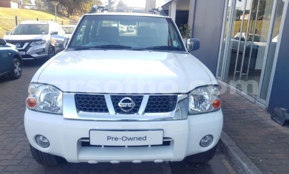 Buy Used Nissan Hardbody White Car in Butha–Buthe in Thaba-Tseka Buy Used Nissan Hardbody White Car in Butha–Buthe in Thaba-Tseka