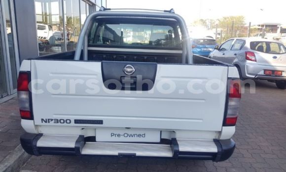 Buy Used Nissan Hardbody White Car in Butha–Buthe in Thaba-Tseka Buy Used Nissan Hardbody White Car in Butha–Buthe in Thaba-Tseka