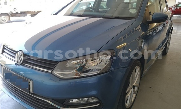 Buy Used Volkswagen Polo Blue Car in Butha–Buthe in Thaba-Tseka Buy Used Volkswagen Polo Blue Car in Butha–Buthe in Thaba-Tseka