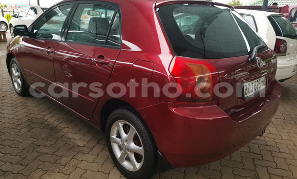اشتري مستعمل Toyota Runx Red سيارة في Maseru في Maseru اشتري مستعمل Toyota Runx Red سيارة في Maseru في Maseru