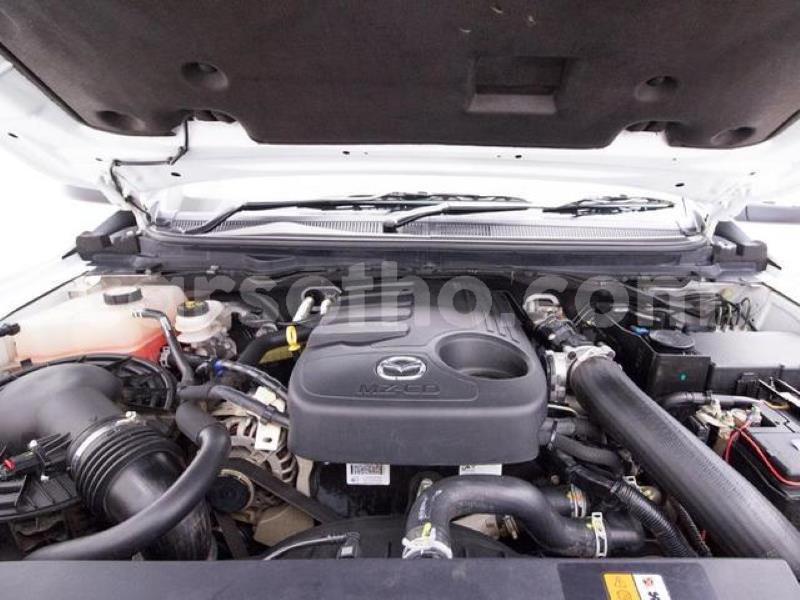 Big with watermark crop800x600 16