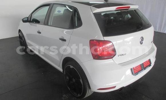 Buy Used Volkswagen Polo White Car in Hlotse in Leribe Buy Used Volkswagen Polo White Car in Hlotse in Leribe