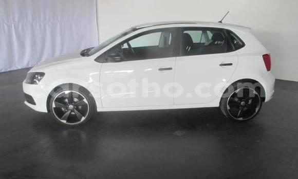 Buy Used Volkswagen Polo White Car in Hlotse in Leribe Buy Used Volkswagen Polo White Car in Hlotse in Leribe