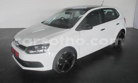 Buy Used Volkswagen Polo White Car in Hlotse in Leribe Buy Used Volkswagen Polo White Car in Hlotse in Leribe