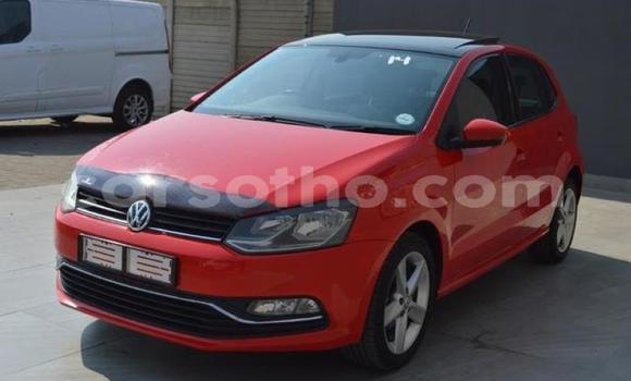 اشتري مستعمل Volkswagen Polo Red سيارة في Hlotse في Leribe اشتري مستعمل Volkswagen Polo Red سيارة في Hlotse في Leribe
