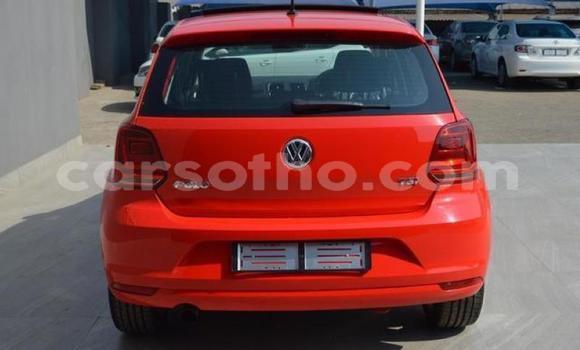 اشتري مستعمل Volkswagen Polo Red سيارة في Hlotse في Leribe اشتري مستعمل Volkswagen Polo Red سيارة في Hlotse في Leribe