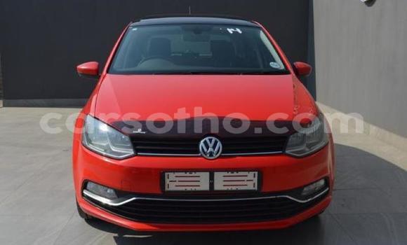 اشتري مستعمل Volkswagen Polo Red سيارة في Hlotse في Leribe اشتري مستعمل Volkswagen Polo Red سيارة في Hlotse في Leribe