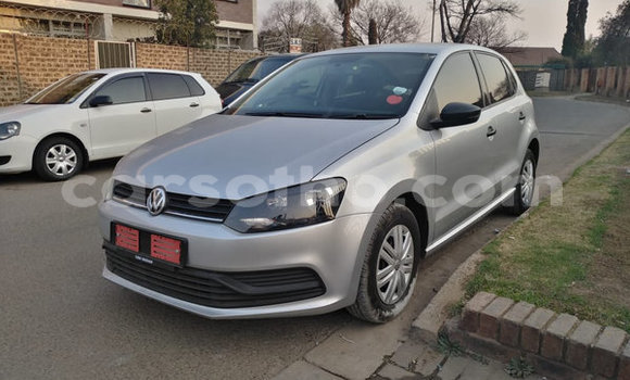 Buy Used Volkswagen Polo Silver Car in Hlotse in Leribe Buy Used Volkswagen Polo Silver Car in Hlotse in Leribe
