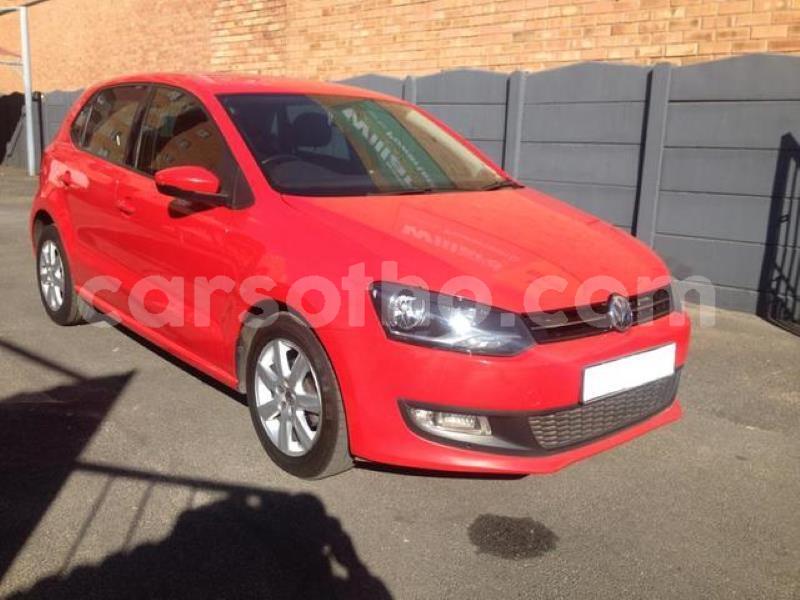 Big with watermark crop800x600.jpeg 9