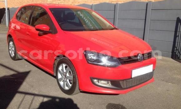 Buy Used Volkswagen Polo Red Car in Maseru in Maseru Buy Used Volkswagen Polo Red Car in Maseru in Maseru
