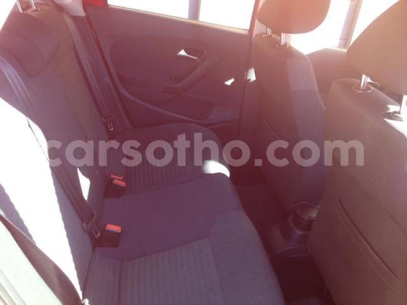 Big with watermark crop800x600.jpeg 16