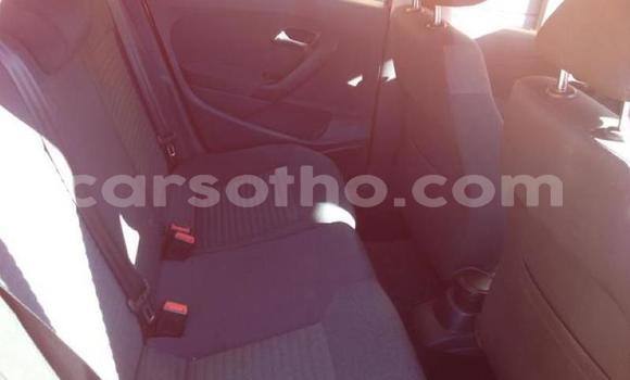 Buy Used Volkswagen Polo Red Car in Maseru in Maseru Buy Used Volkswagen Polo Red Car in Maseru in Maseru