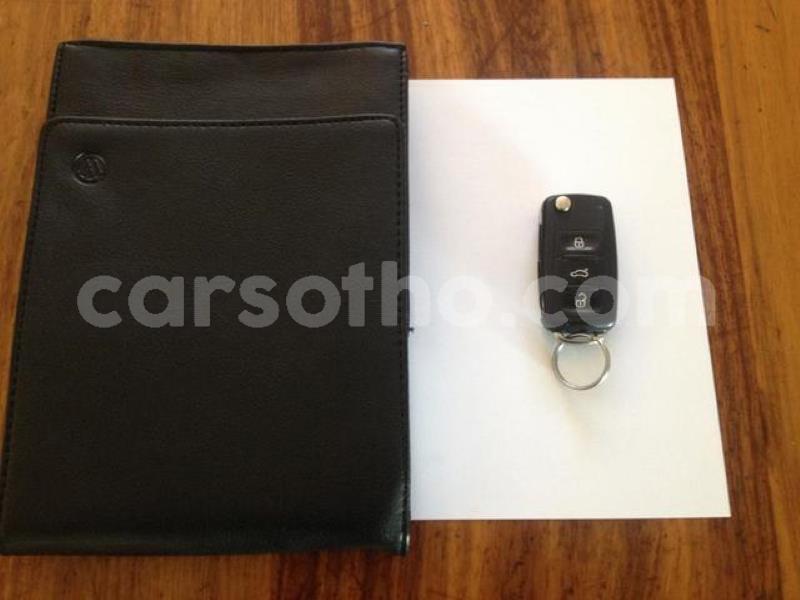 Big with watermark crop800x600.jpeg 19