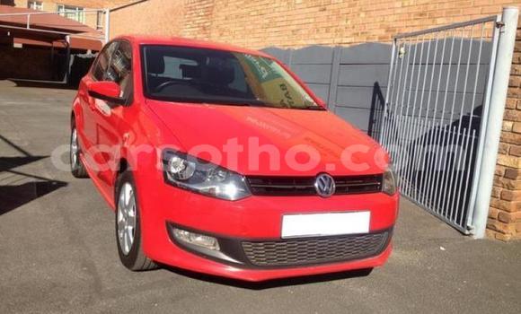 Buy Used Volkswagen Polo Red Car in Maseru in Maseru Buy Used Volkswagen Polo Red Car in Maseru in Maseru