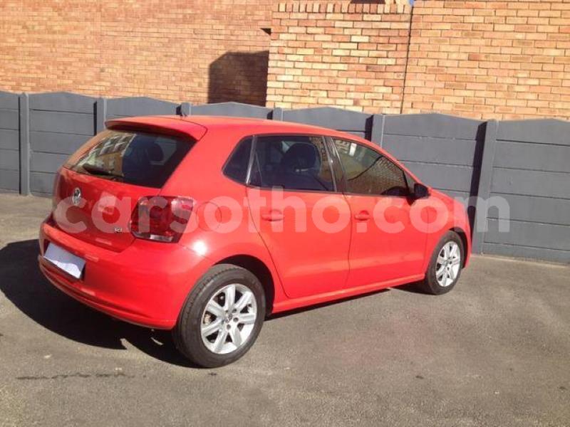 Big with watermark crop800x600.jpeg 12