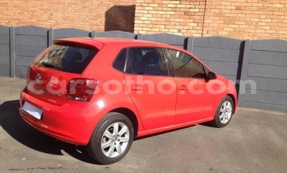 Buy Used Volkswagen Polo Red Car in Maseru in Maseru Buy Used Volkswagen Polo Red Car in Maseru in Maseru