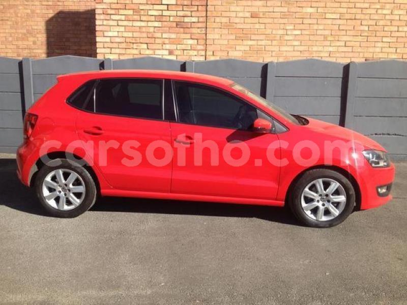 Big with watermark crop800x600.jpeg 11