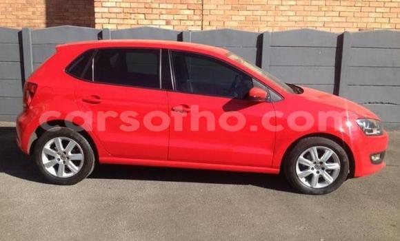 Buy Used Volkswagen Polo Red Car in Maseru in Maseru Buy Used Volkswagen Polo Red Car in Maseru in Maseru