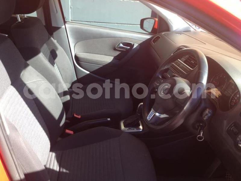 Big with watermark crop800x600.jpeg 15