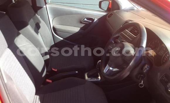 Buy Used Volkswagen Polo Red Car in Maseru in Maseru Buy Used Volkswagen Polo Red Car in Maseru in Maseru