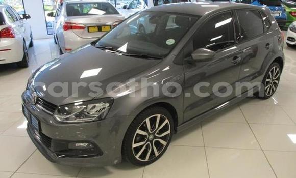 Buy Used Volkswagen Polo Silver Car in Maseru in Maseru Buy Used Volkswagen Polo Silver Car in Maseru in Maseru