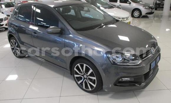 Buy Used Volkswagen Polo Silver Car in Maseru in Maseru Buy Used Volkswagen Polo Silver Car in Maseru in Maseru