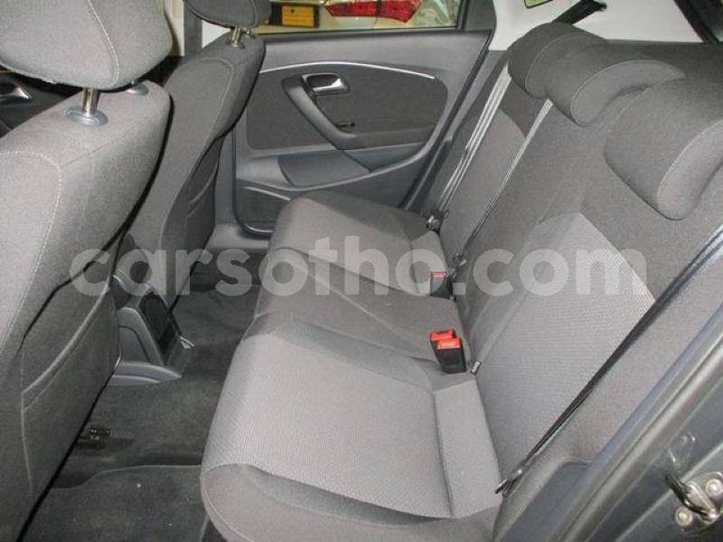 Big with watermark crop800x600 6