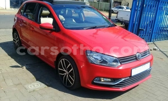 Acheter Occasion Voiture Volkswagen Polo Rouge à Maseru, Maseru Acheter Occasion Voiture Volkswagen Polo Rouge à Maseru, Maseru