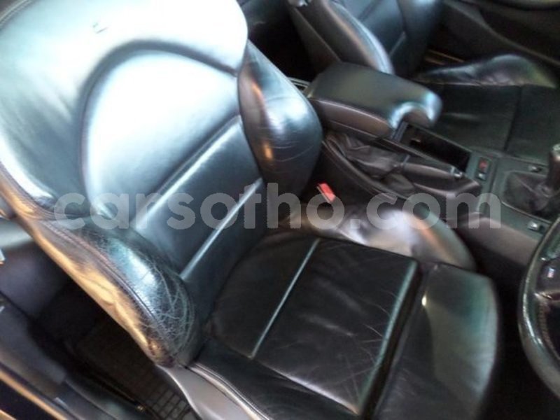 Big with watermark 8