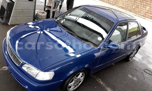 Acheter Occasion Voiture Toyota Corolla Bleu à Butha–Buthe, Thaba-Tseka Acheter Occasion Voiture Toyota Corolla Bleu à Butha–Buthe, Thaba-Tseka