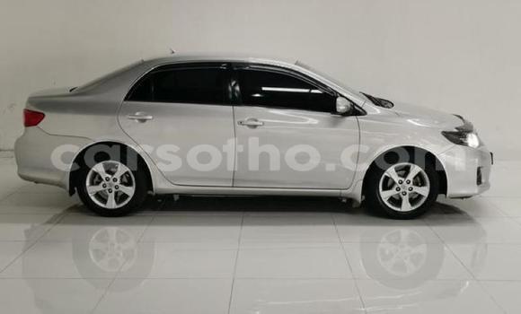 Acheter Occasion Voiture Toyota Corolla Gris à Maseru, Maseru Acheter Occasion Voiture Toyota Corolla Gris à Maseru, Maseru