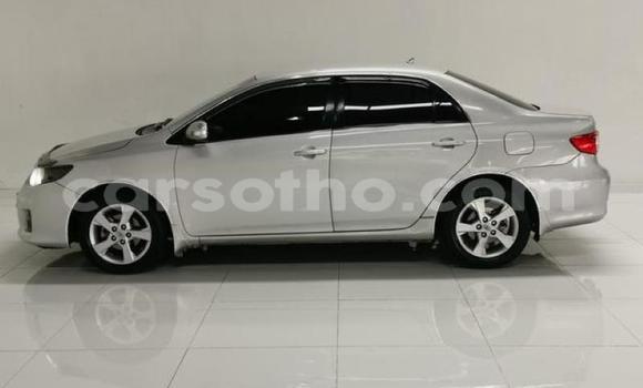 Acheter Occasion Voiture Toyota Corolla Gris à Maseru, Maseru Acheter Occasion Voiture Toyota Corolla Gris à Maseru, Maseru