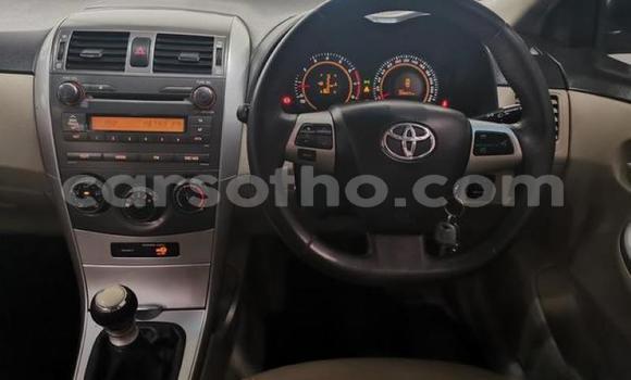 Acheter Occasion Voiture Toyota Corolla Gris à Maseru, Maseru Acheter Occasion Voiture Toyota Corolla Gris à Maseru, Maseru