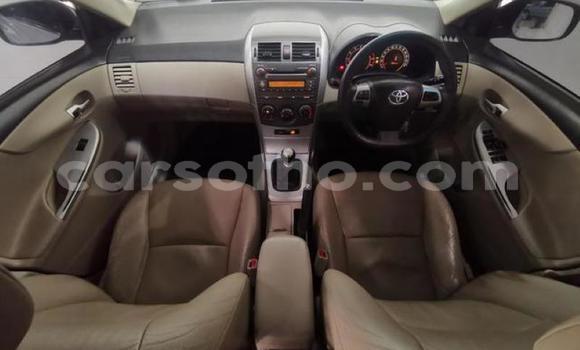 Acheter Occasion Voiture Toyota Corolla Gris à Maseru, Maseru Acheter Occasion Voiture Toyota Corolla Gris à Maseru, Maseru