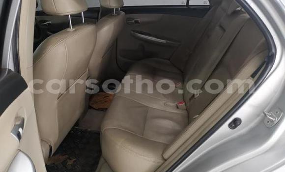 Acheter Occasion Voiture Toyota Corolla Gris à Maseru, Maseru Acheter Occasion Voiture Toyota Corolla Gris à Maseru, Maseru