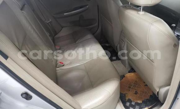 Acheter Occasion Voiture Toyota Corolla Gris à Maseru, Maseru Acheter Occasion Voiture Toyota Corolla Gris à Maseru, Maseru