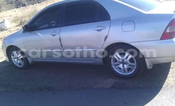 Sayi Na hannu Toyota Corolla Silver Mota in Maputsoe a Leribe Sayi Na hannu Toyota Corolla Silver Mota in Maputsoe a Leribe