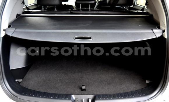 Buy Used Kia Sportage Silver Car in Butha Buthe in Butha-Buthe Buy Used Kia Sportage Silver Car in Butha Buthe in Butha-Buthe